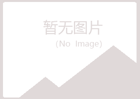 宁夏盼山音乐有限公司